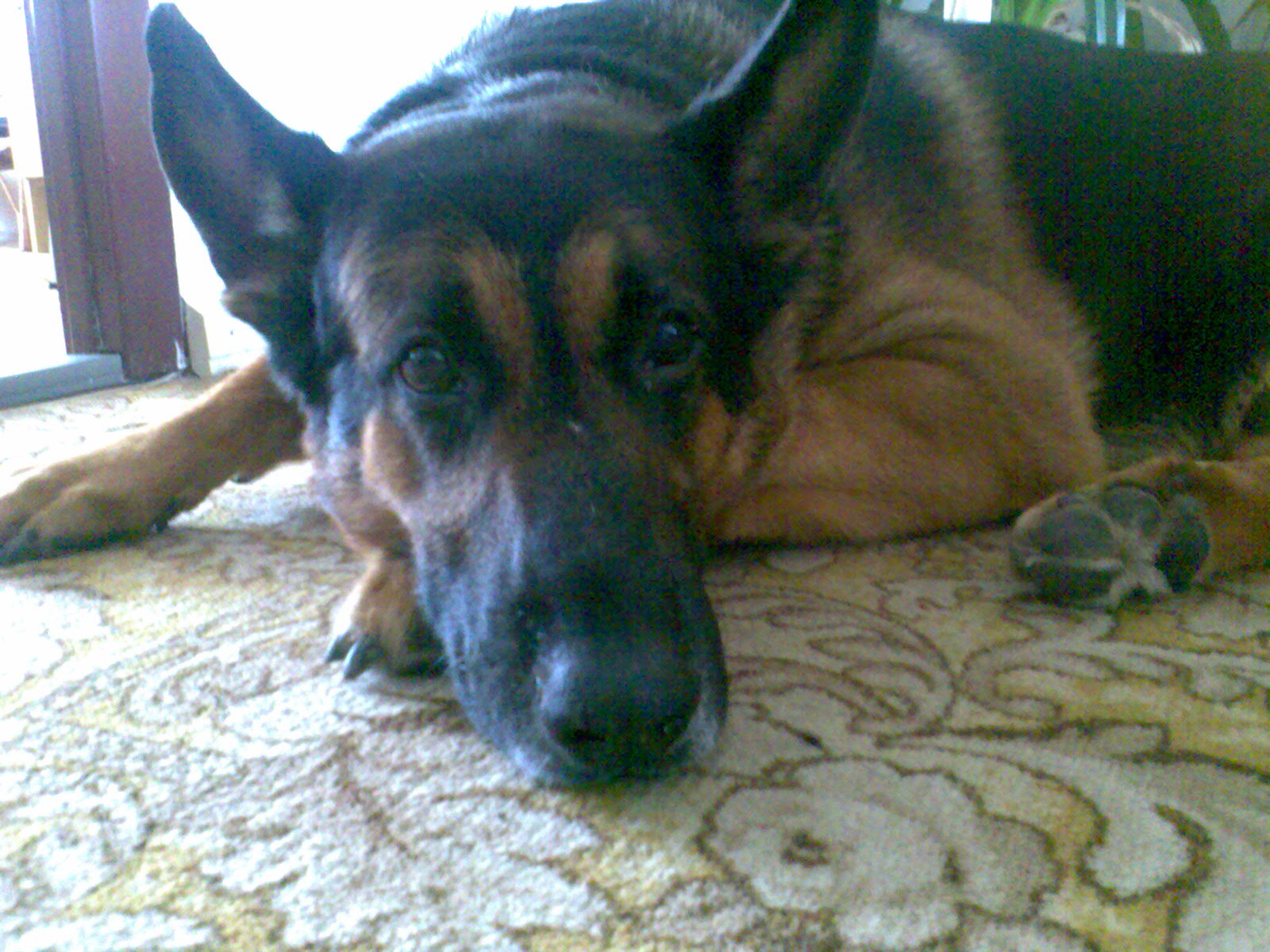Obraz024.jpg
